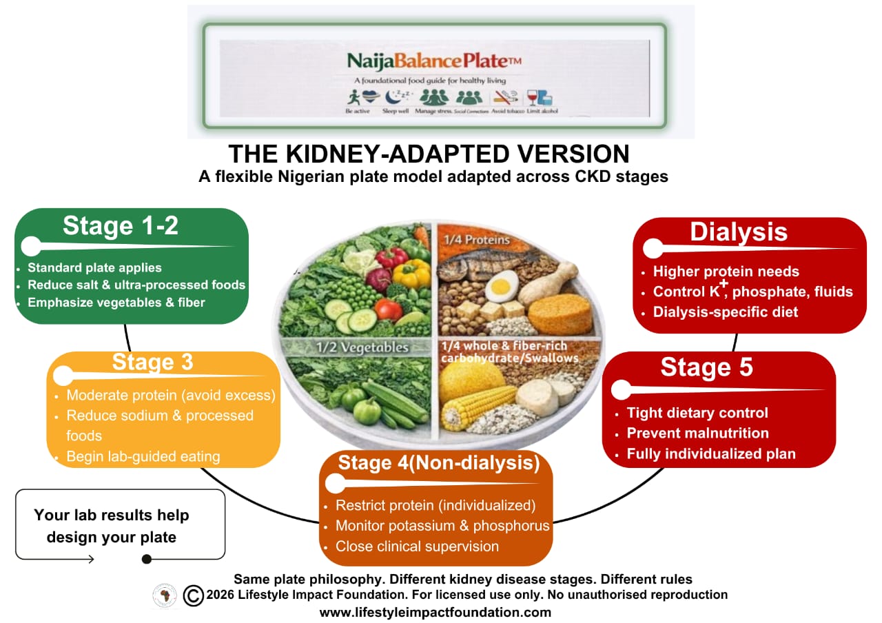 NaijaBalance Plate kidney-adapted edition across chronic kidney disease stages.